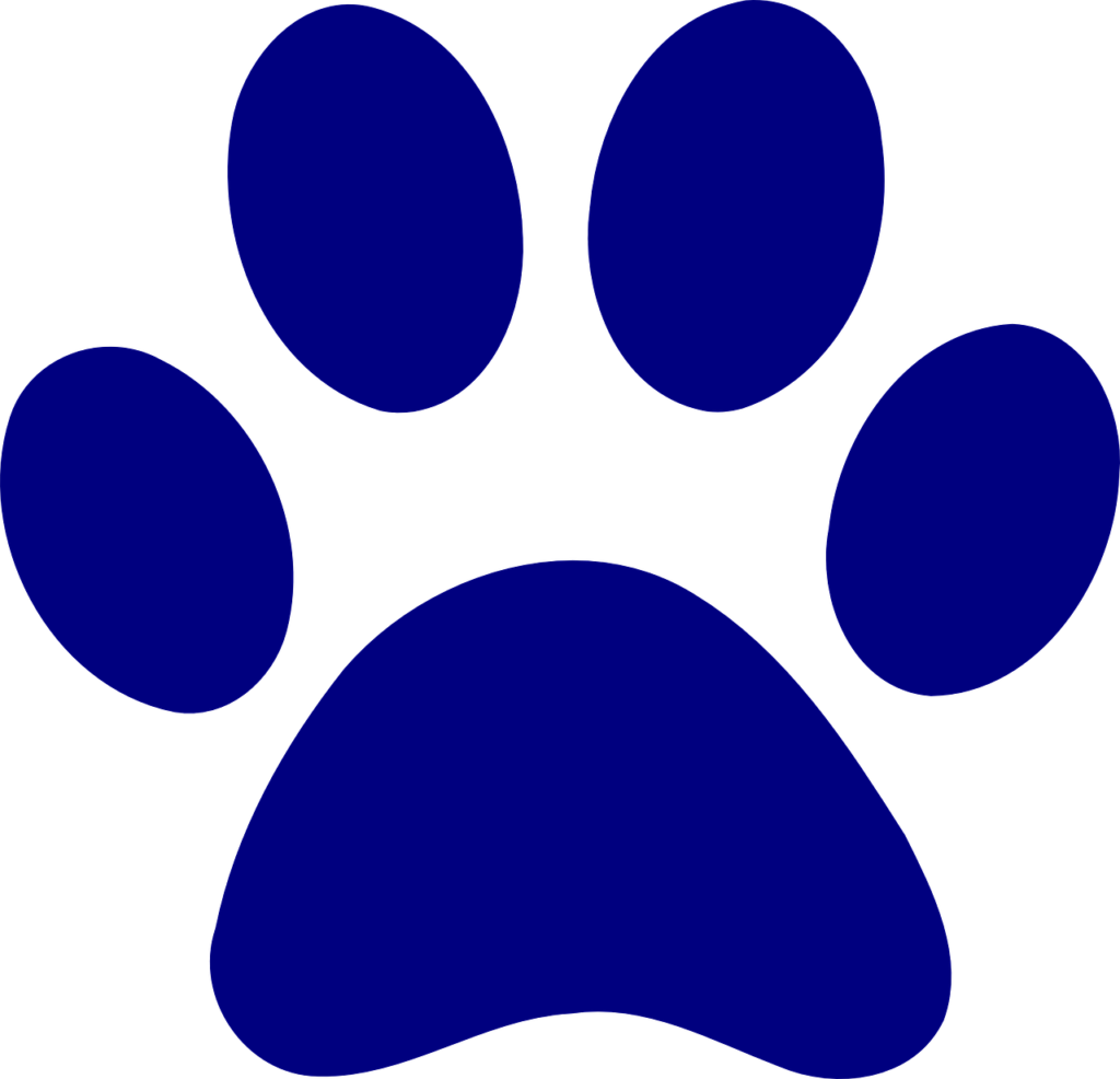 print, dog, bear-306214.jpg